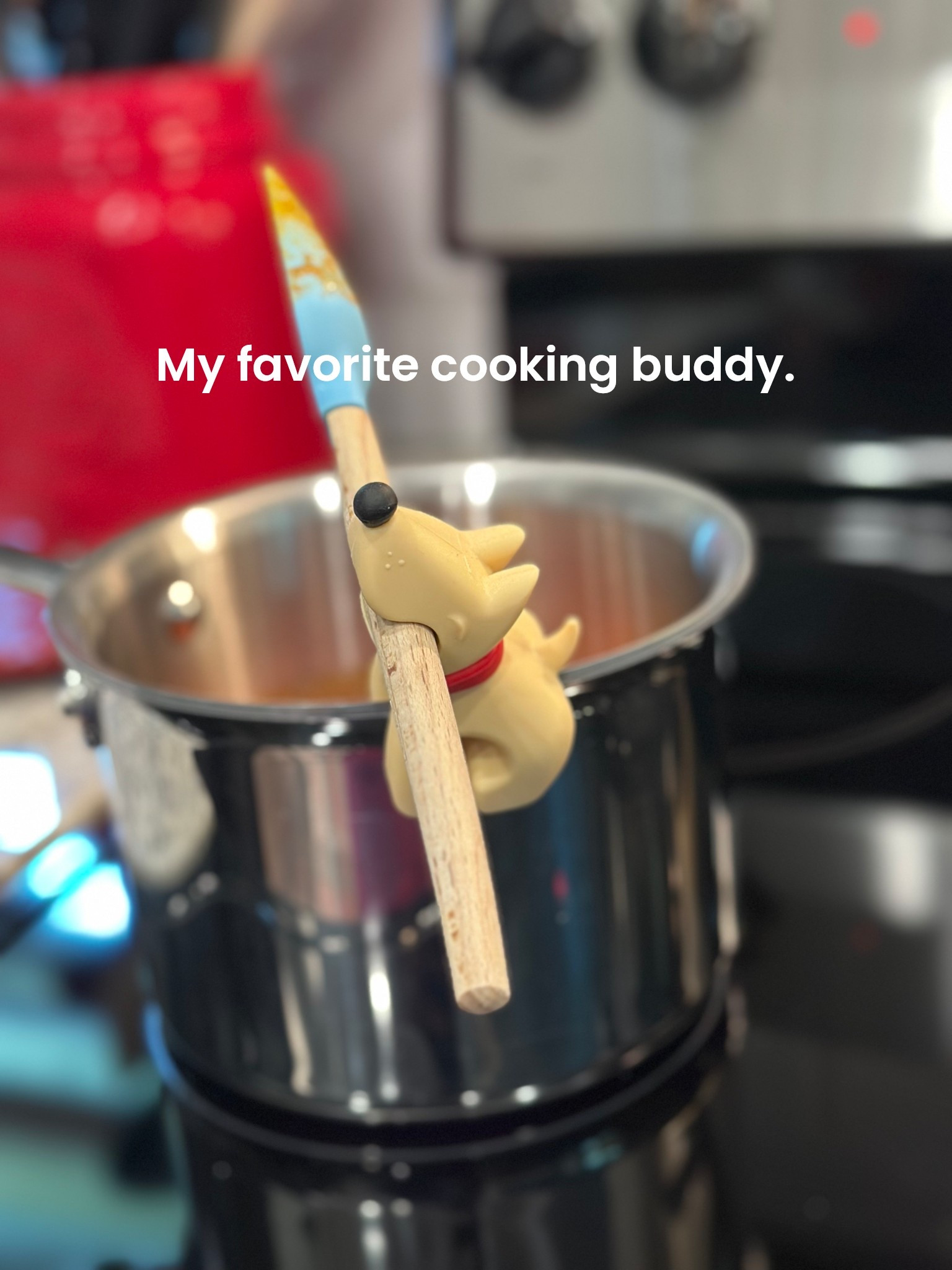 A fun way to keep your spatula on hand when cooking 🧑‍🍳🐶🍽️

#LTKPets #LTKHome