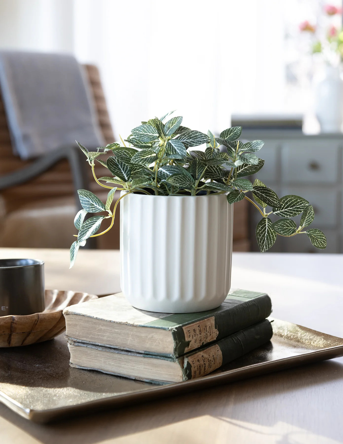 Beam Pot - Medium | Eco Chic Home