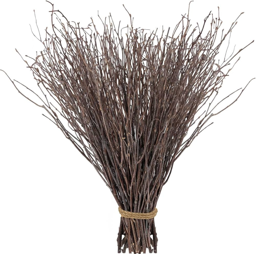 60Pcs Real Dried Birch Twigs Branches - 17” Natural Decorative Birch Branches for Easter Vases,... | Amazon (US)
