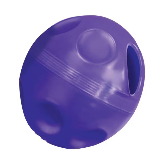 KONG Active Treat Ball Cat Toy - Chewy.com | Chewy.com