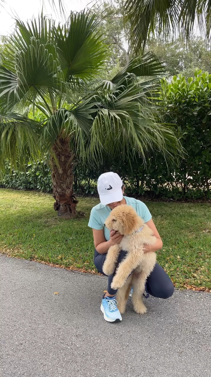 I’m loving my favorite walking sneakers by @easyspiritofficial #EasySpiritPartner

These Denise Austin Mel EMOVE walking shoes are so comfortable for my daily long walks. They feature a cushion memory foam for additional comfort, great arch support, available in extended widths, and orthotic friendly. Shop them here on LTK in lots of pretty colors! 


#LTKOver40 #LTKSaleAlert #LTKShoeCrush