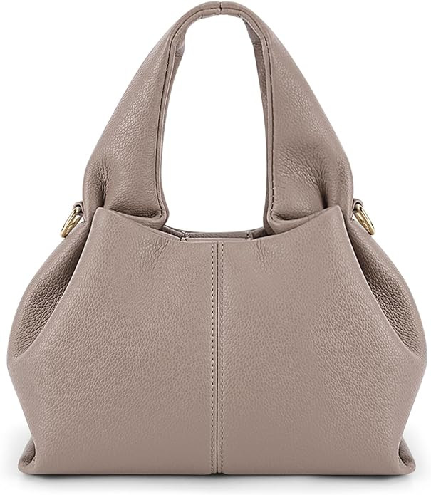 Juoxeepy Crossbody Bag Purse Satchel Handbag for Women Shoulder Bag Chic Dumpling Cloud Bag Clutc... | Amazon (US)