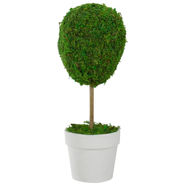 Northlight 14" Reindeer Moss Ball Potted Artificial Spring Topiary Tree - Green/White | Target