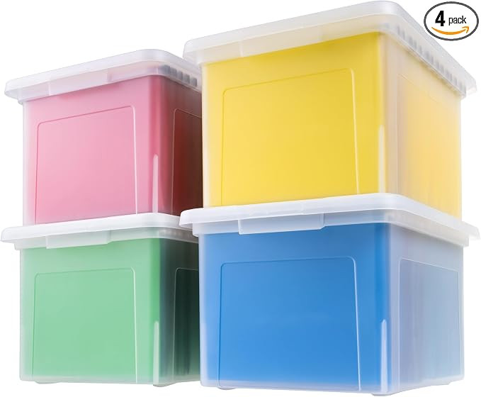 IRIS USA File Box, Plastic File Organizer with Lids for Letter/Legal File, Portable Document Box ... | Amazon (US)