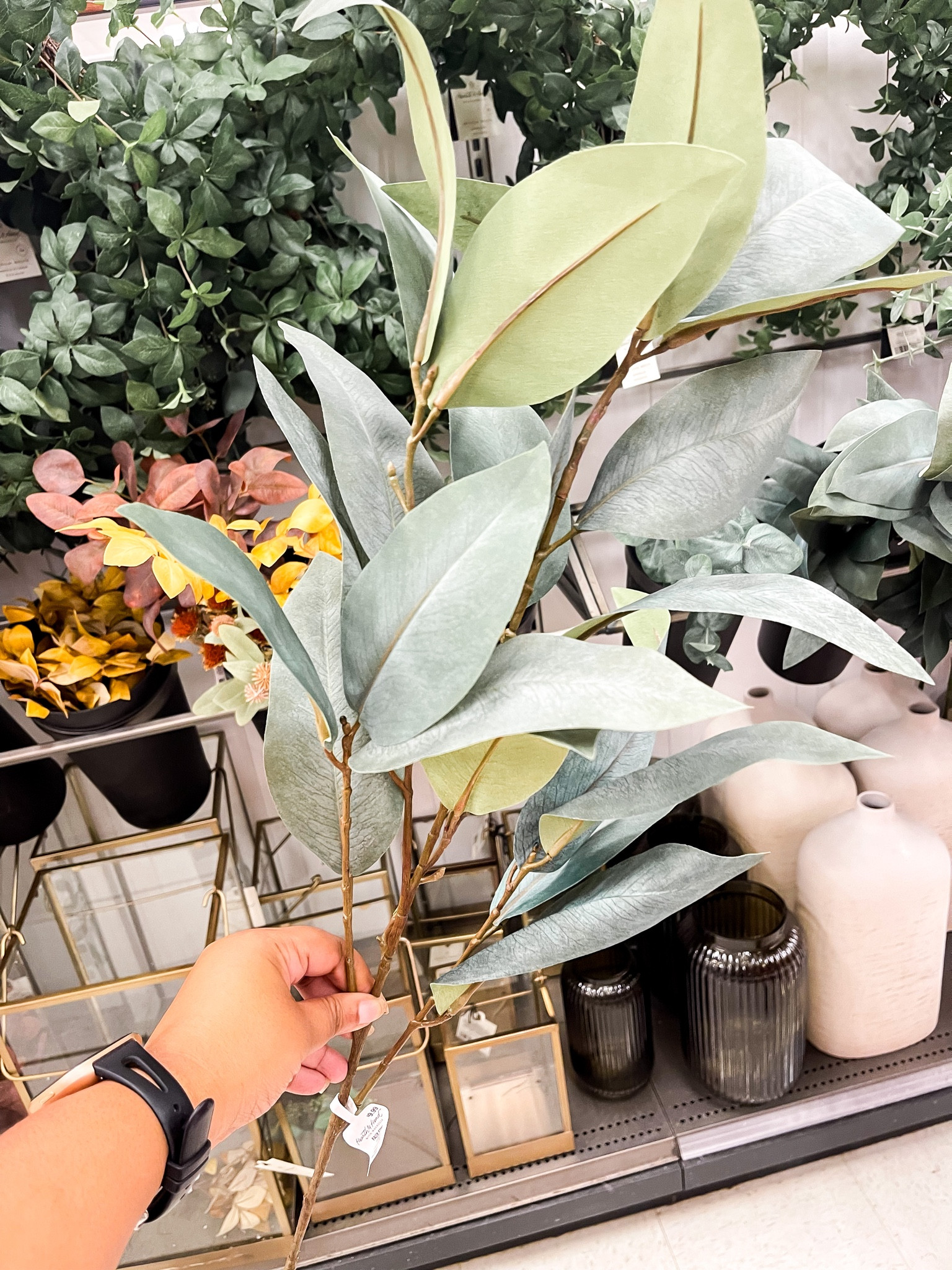 Finally got to see these eucalyptus stems in person! 

#LTKunder50 #LTKhome #LTKSeasonal