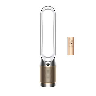 Dyson Purifier Cool De-Nox PC2 White | The Container Store