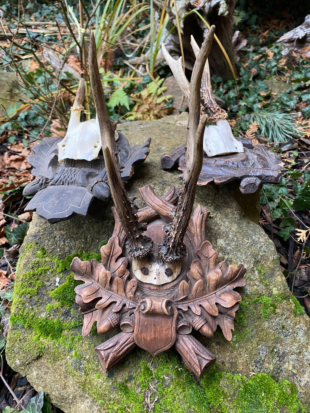 Antique roedeer antlers wood carved mount blackforest victorian | Etsy (US)