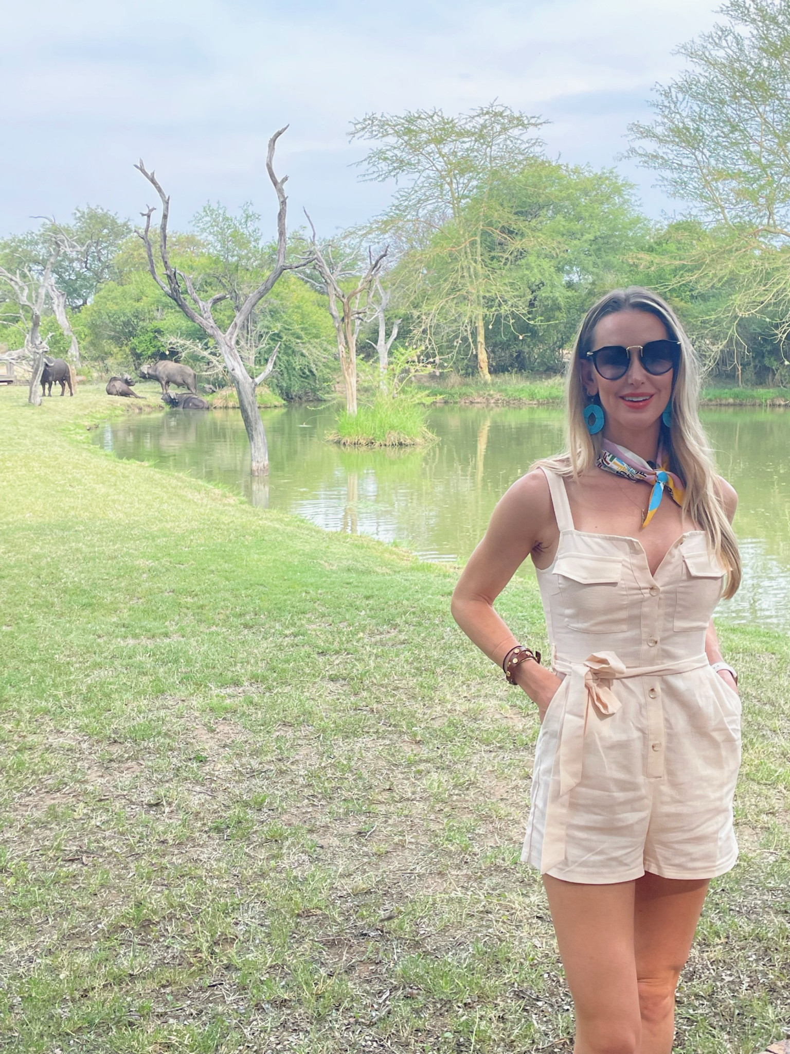 African Safari • Safari • 