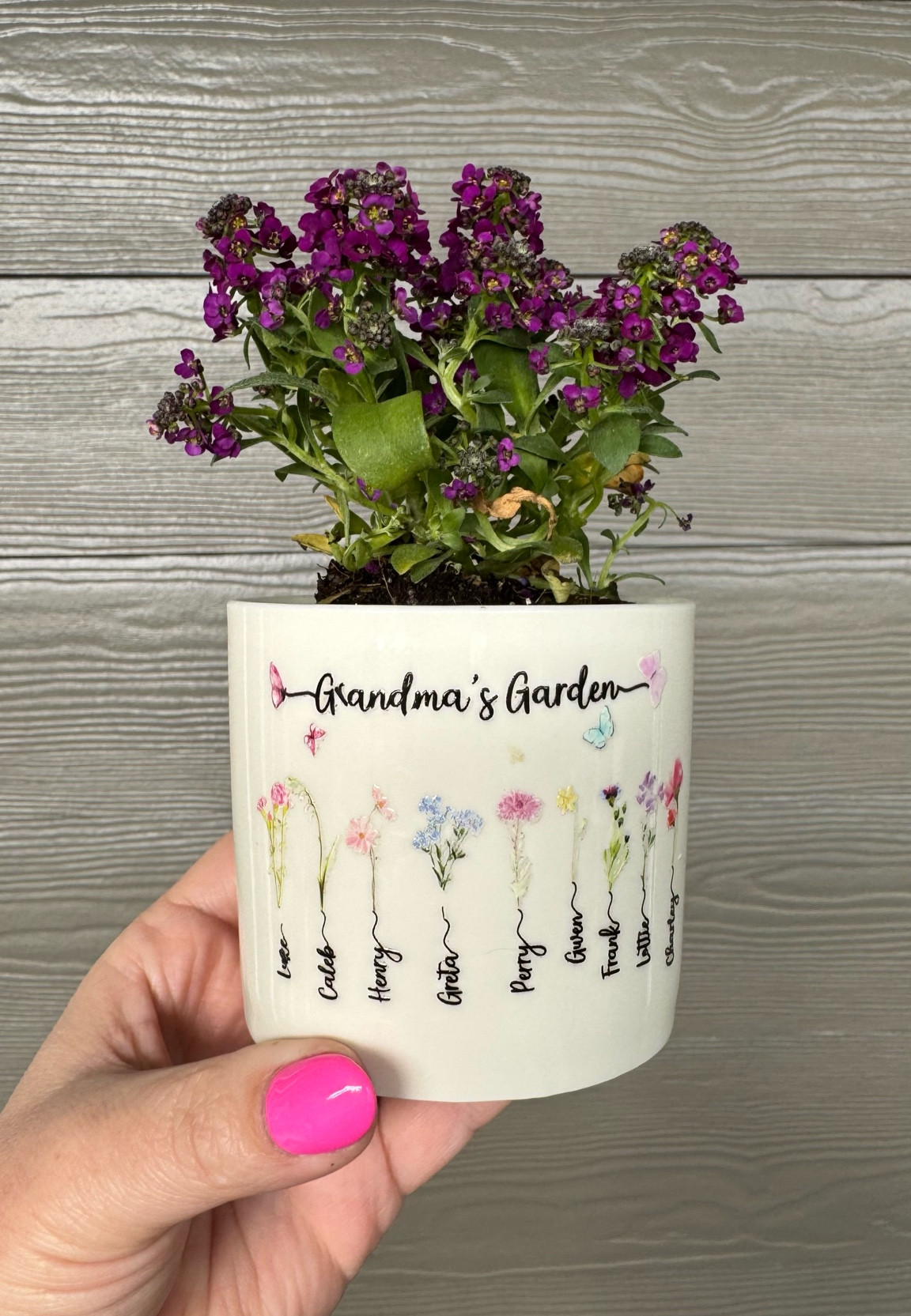 Mother’s Day gift for your mom or grandma!

#LTKFamily #LTKSeasonal #LTKGiftGuide