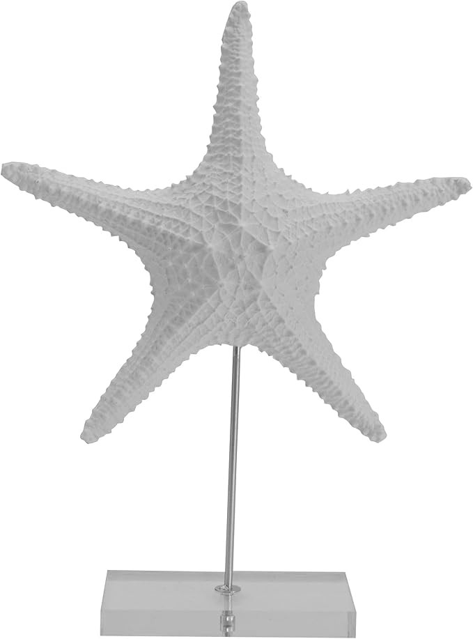 Elements Decorative White Starfish Figurine on Stand, Modern Coastal Decor | Amazon (US)