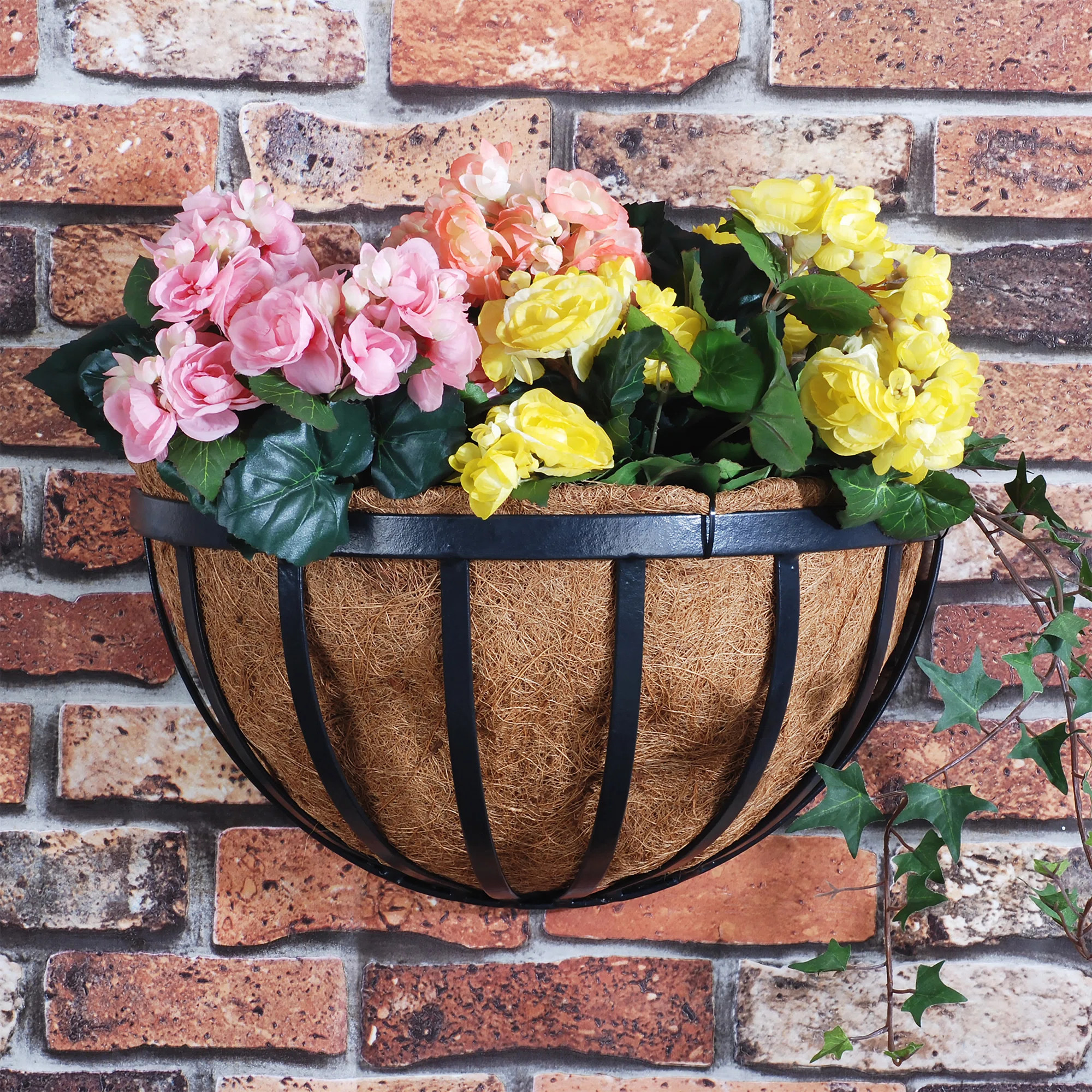 August Grove® Rodger Metal Planter & Reviews | Wayfair | Wayfair North America