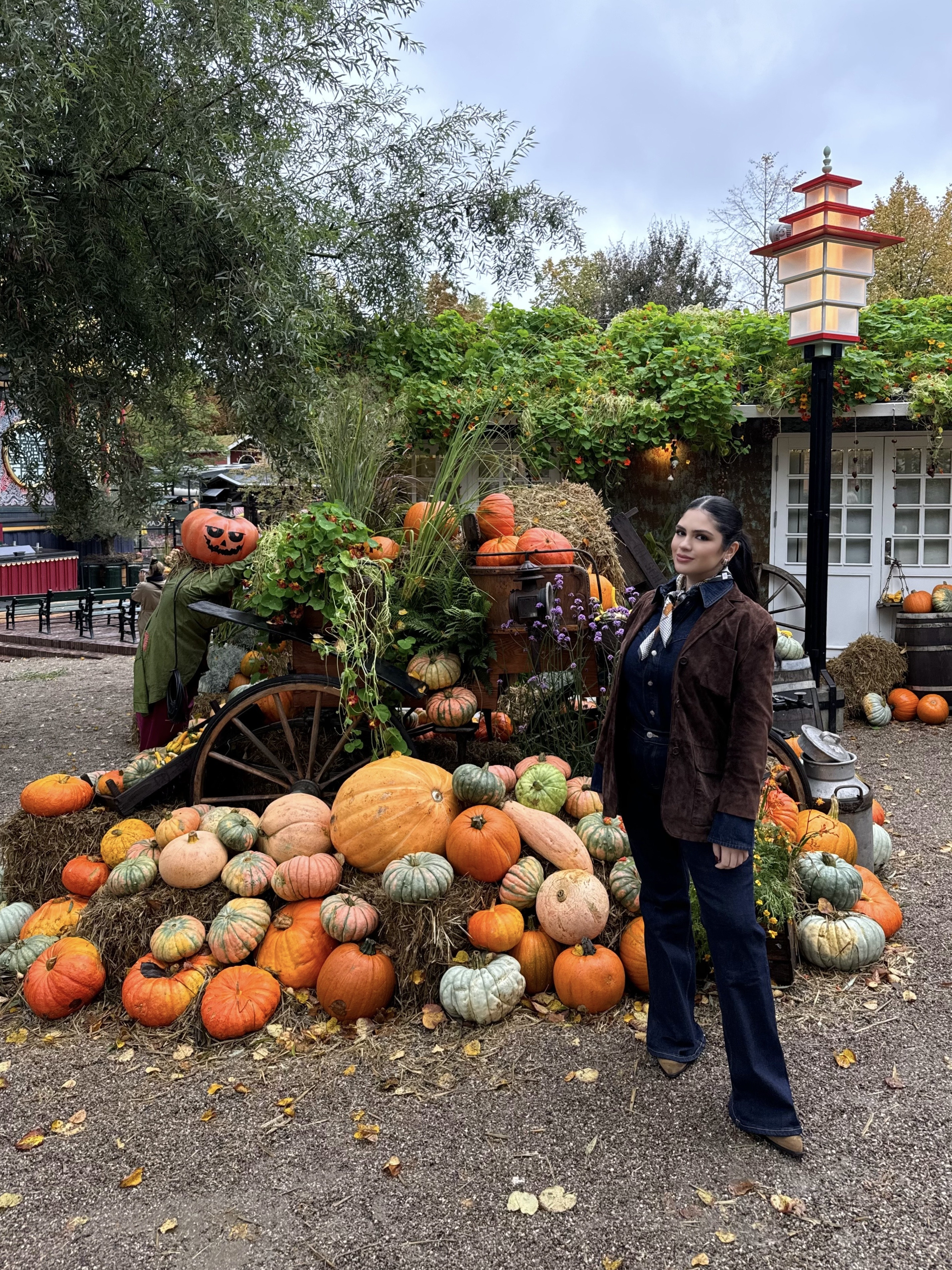 #LTKTravel #LTKSeasonal #LTKMidsize