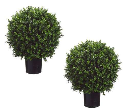Set of 2 - Pre-Potted 24" High Ball Shaped Boxwood Topiary- 16" Diameter - Plastic Pot | Amazon (US)