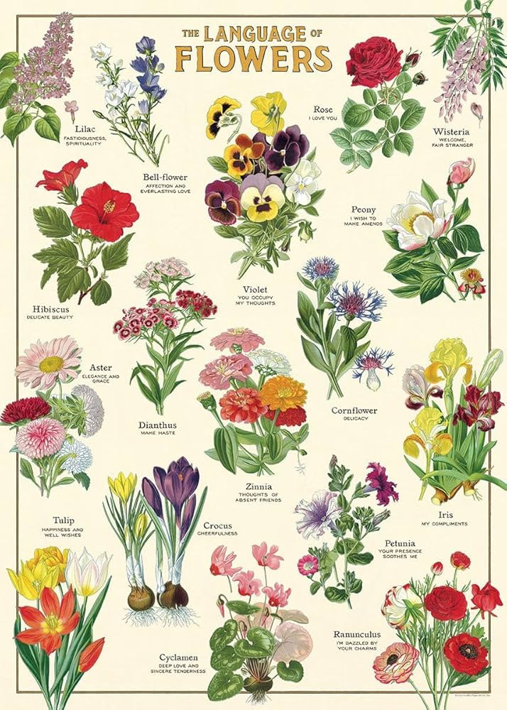 Cavallini & Co. Decorative Wrap Poster, Language of Flowers, 20 x 28 inch Italian Archival Paper ... | Amazon (US)