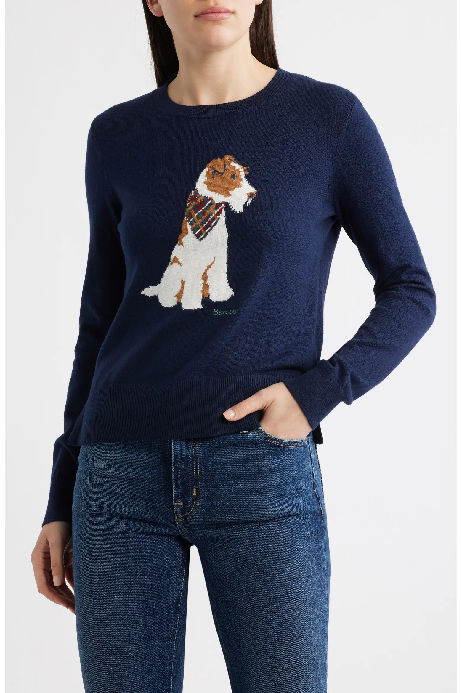 Berkley Intarsia Cotton & Cashmere Sweater (Women) | Nordstrom | Nordstrom