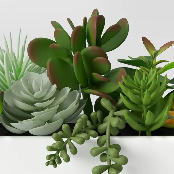 Artificial Succulent Plant Arrangement in Pot - Project 62™ | Target