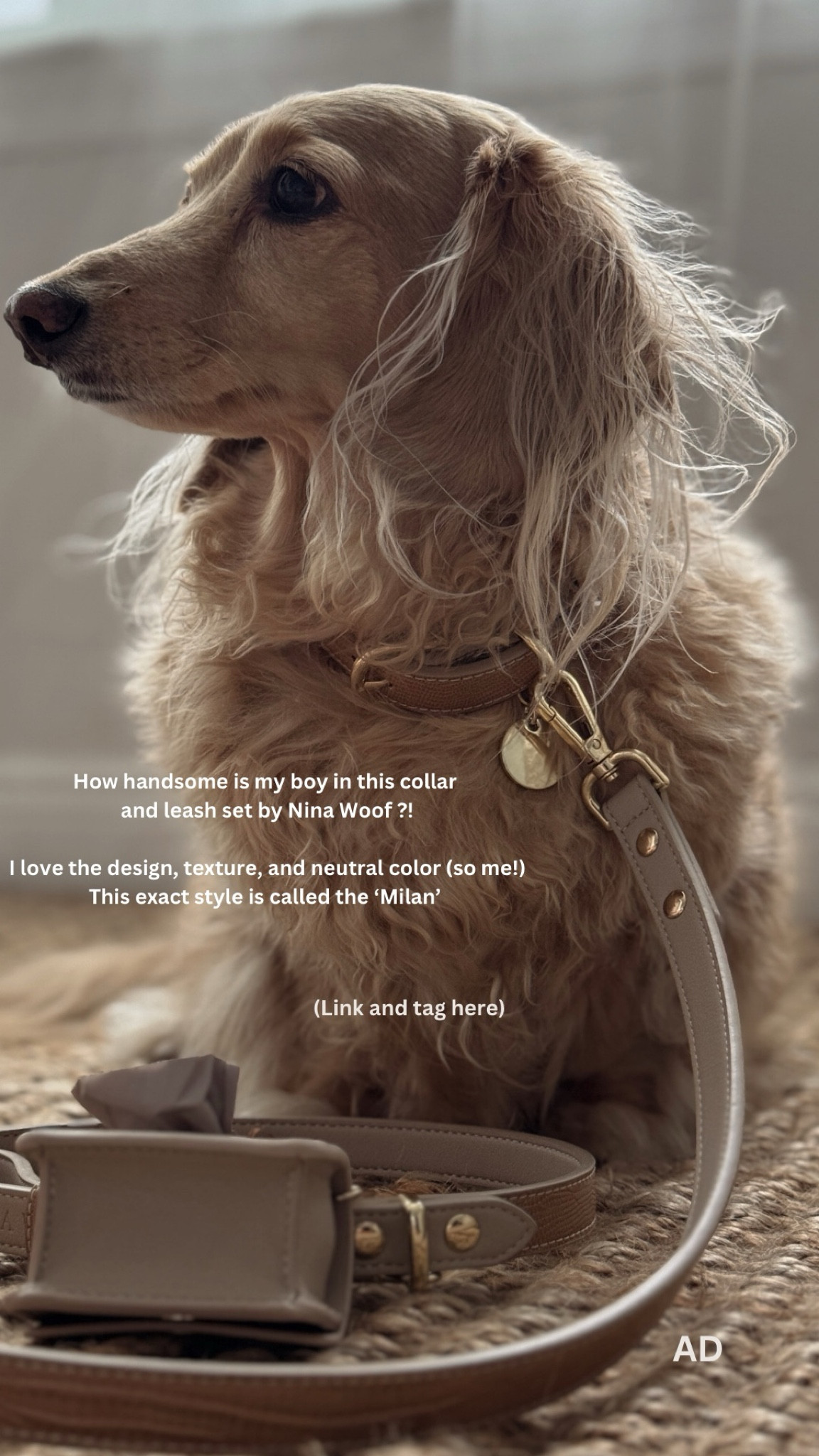 "modeetchien10" for
10% off entire order
Applies to one-time purchases
No minimum purchase requirement
One use per customer
Can't combine with other discounts 

My dog is wearing the “Milan” set by Nina Woof- the chicest dog collar and leash set! Would also make the perfect gift for a pet owner! 

#LTKfamily #LTKGiftGuide #LTKfindsunder50