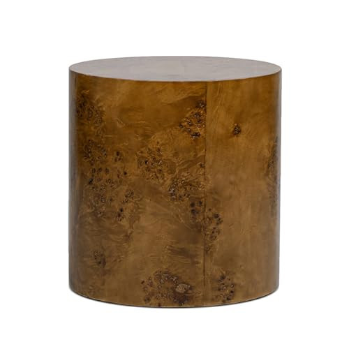 Jennifer Taylor Home Nebula 20" Accent Oval Pillar Side Table, Medium Brown Walnut Burl Wood | Amazon (US)