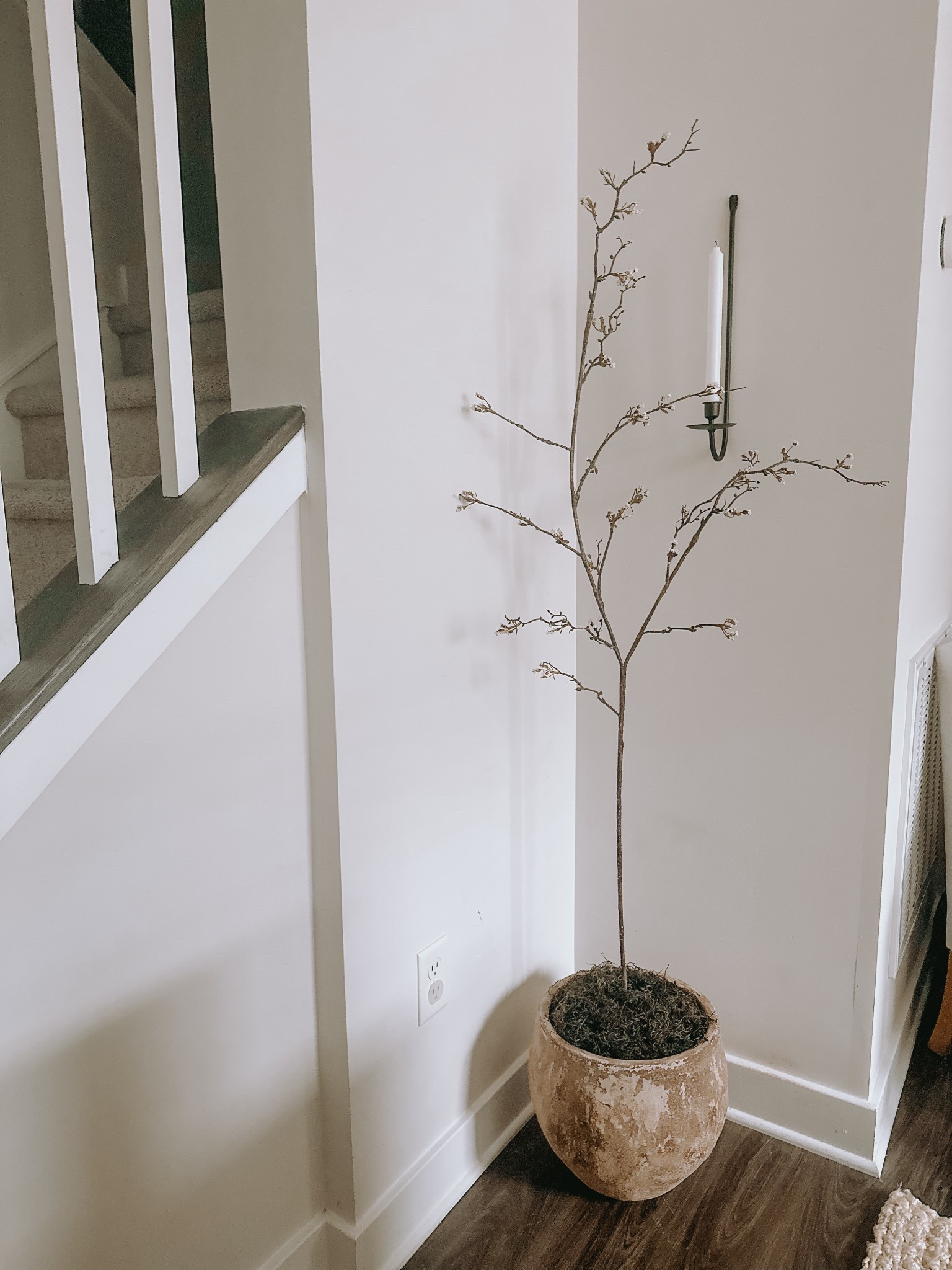 Spring corners have arrived with this budget friendly and easy diy 🌿


*pot was a Marshall’s find 

#LTKSpringSale #LTKHome #LTKStyleTip