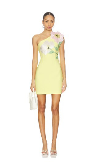 ELLIATT Hope Mini Dress in Yellow. - size XS | Revolve Clothing (Global)