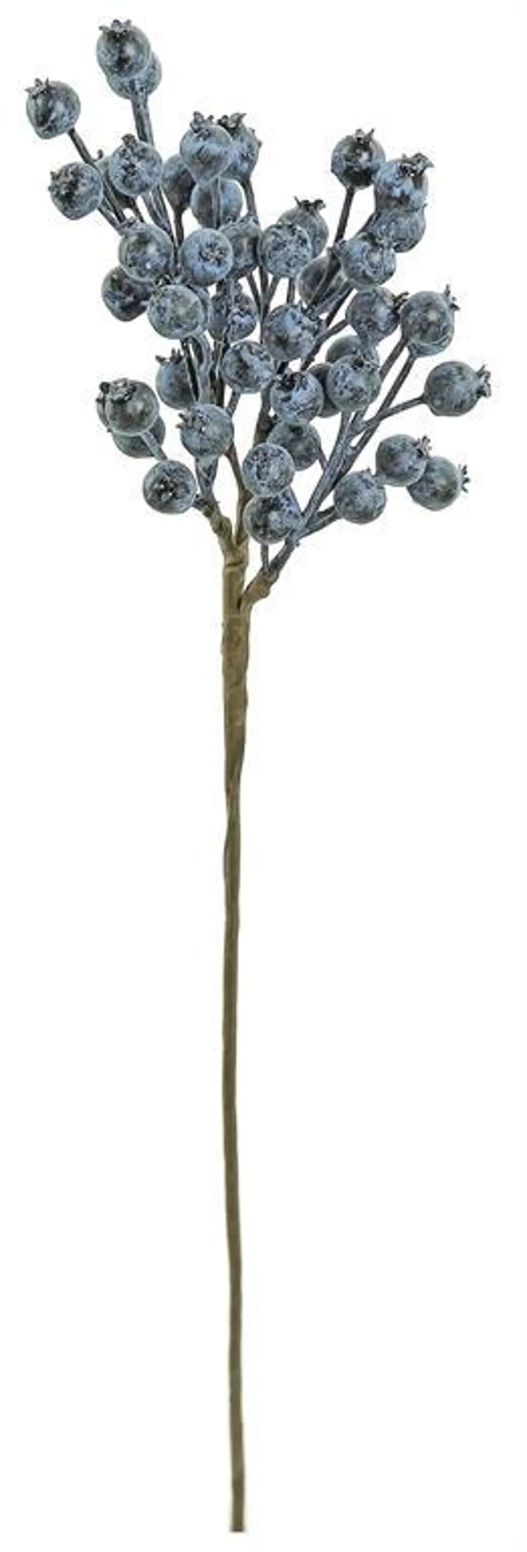 BLUEBERRY PICK, 17", BLUE - Etsy | Etsy (US)