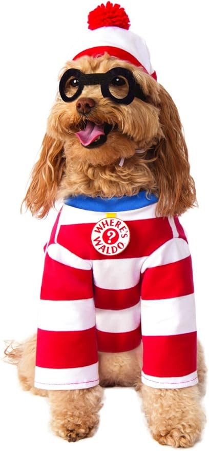 Where's Waldo: Waldo Pet Costume for for Dogs or Cats by Rubies, Large | Amazon (US)