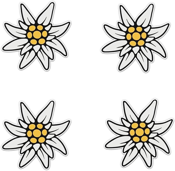 Pack of 4-3 Inch Stickers - Edelweiss Flower Alps - Vinyl Sticker - for Car Laptop Water Bottle P... | Amazon (US)