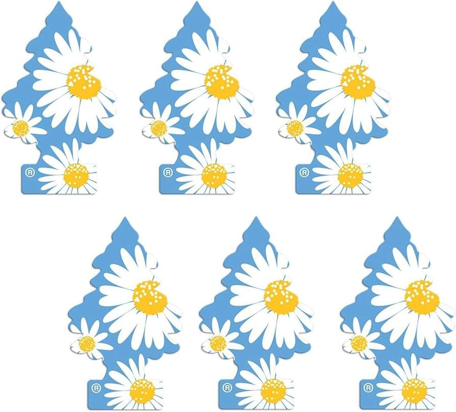 LITTLE TREES 076171673473 Daisy Fields Hanging Paper Tree for Home or Car, 6 Pack | Amazon (US)