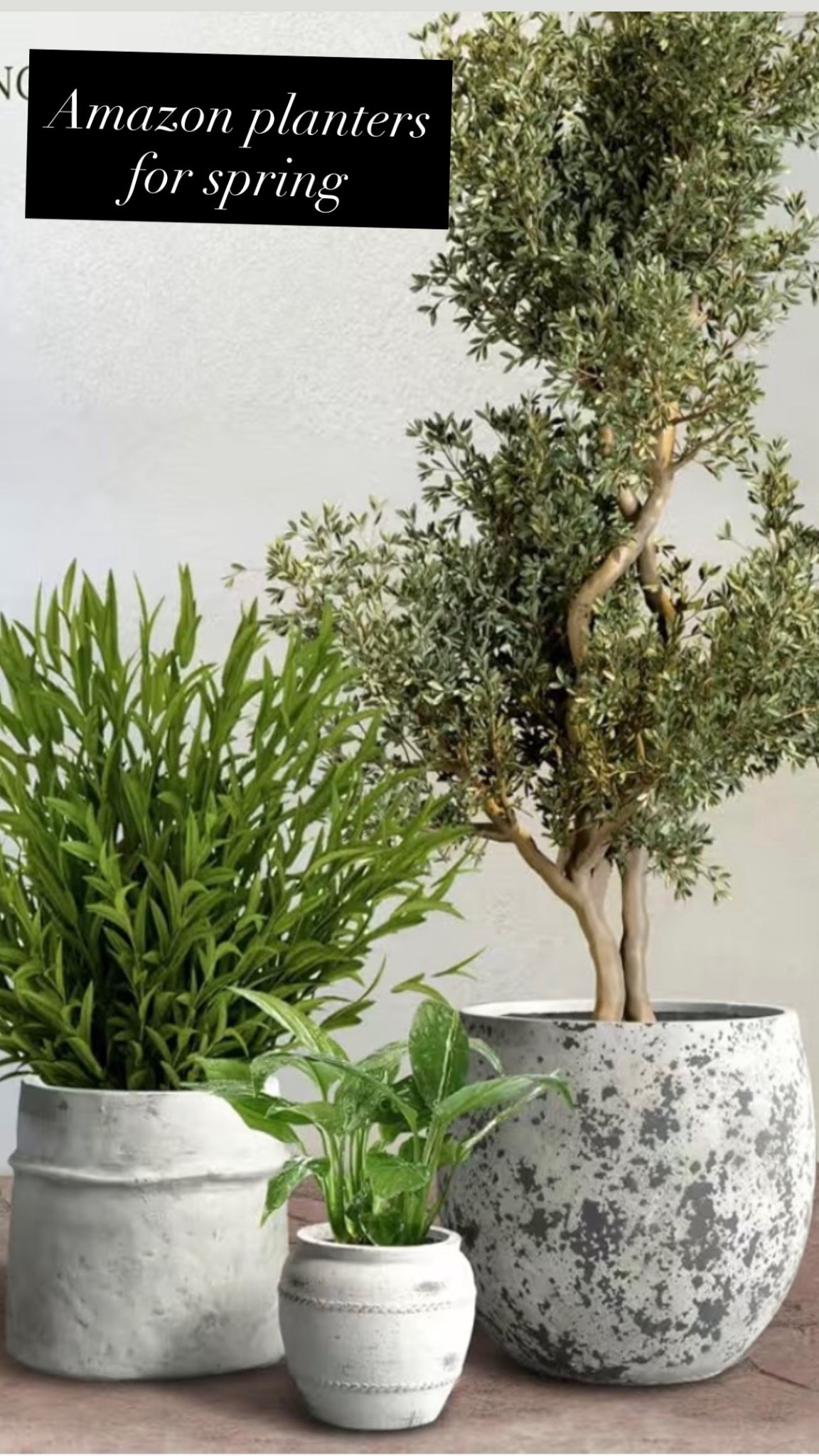 The best Amazon planters for spring 🌿 These budget-friendly flower pots are perfect for outdoor spaces, patios, porches & balconies. Easy way to style your spring flowers! #AmazonFinds #Planters #SpringDecorIdeas #OutdoorDecor #LTKFinds

#LTKmorningroutine #LTKHome #LTKdayinmylife