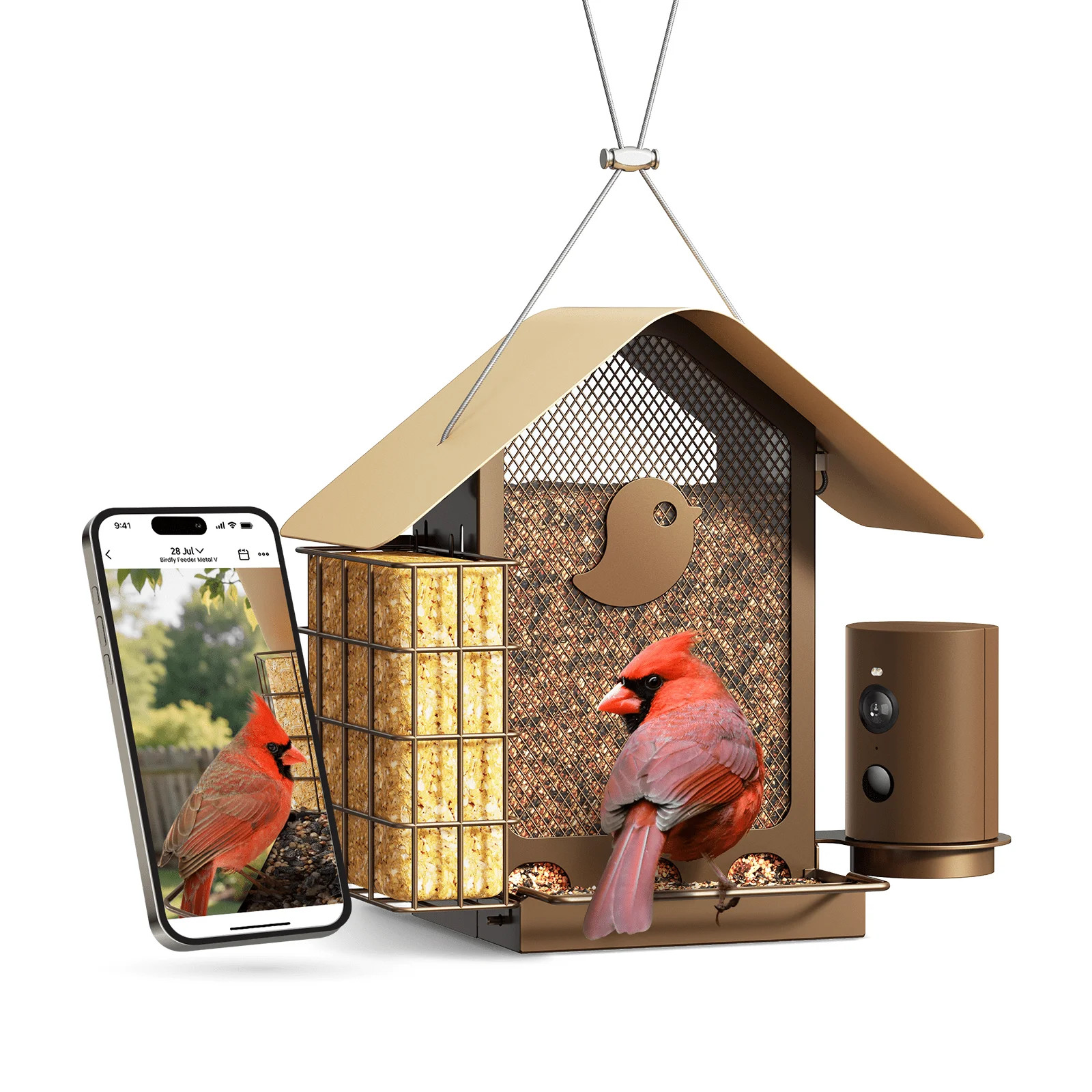 Birdfy Smart Bird Feeder with Camera, 1080P HD, 60FPS Video, AI Bird Identification, Night Vision... | Walmart (US)