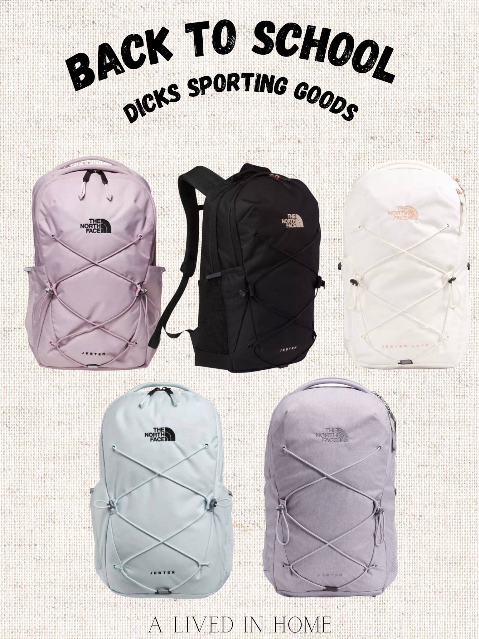 dick's north face jester backpack Alivedinhome on LTK