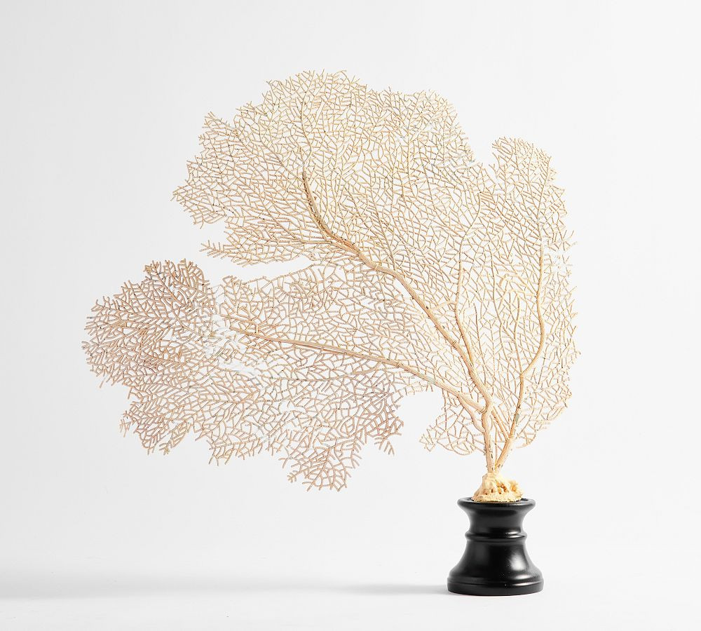 Pottery Barn | Pottery Barn (US)