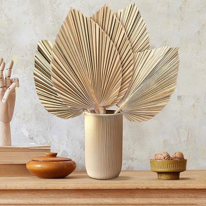Nuanchu 5 Pieces Natural Dried Palm Leaves Tropical Dried Palm Fans Boho Dry Leaves Decor for Hom... | Amazon (CA)