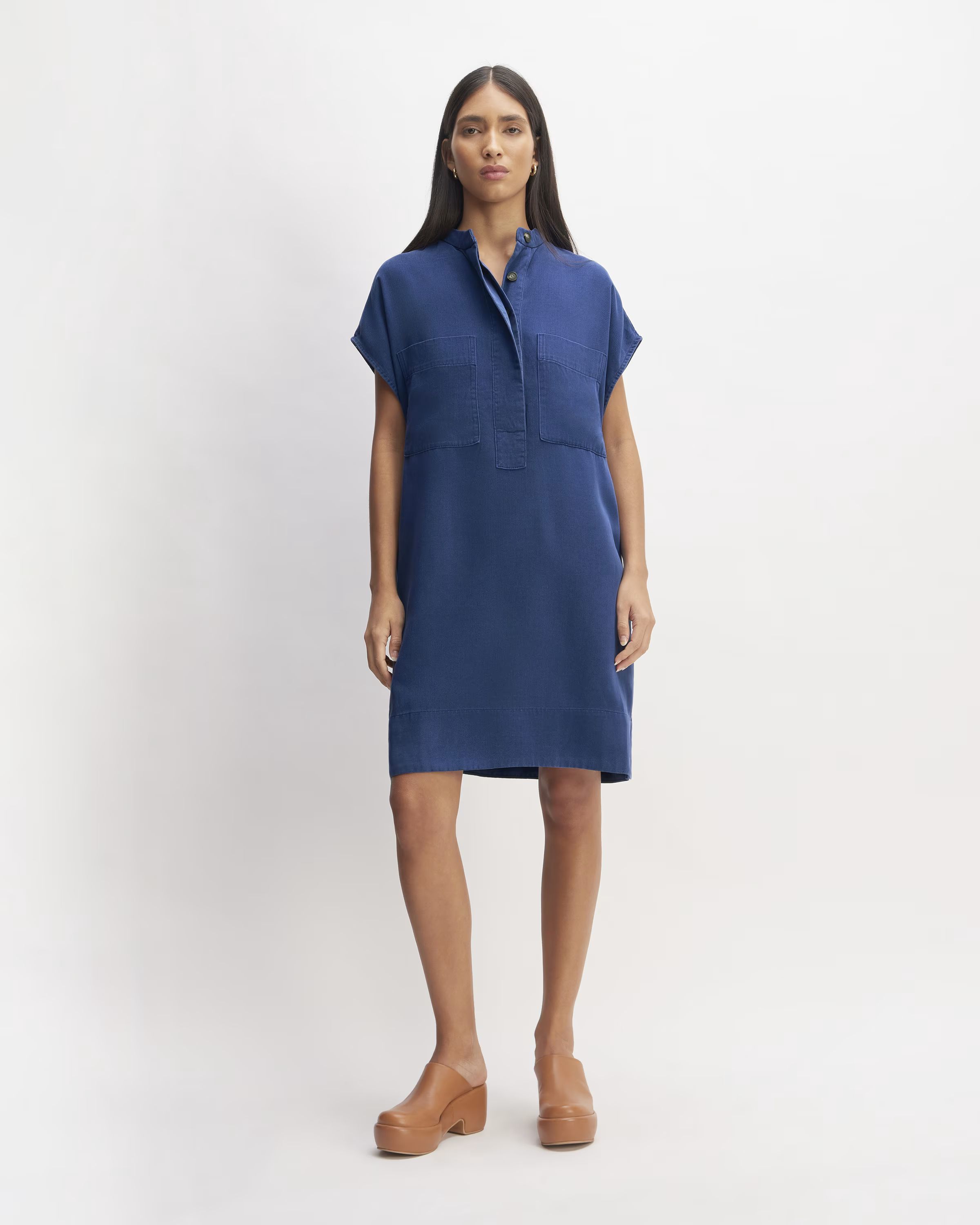 The TENCEL™ Easy Workwear Dress | Everlane