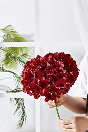 Kislohum Hydrangea Silk Flowers Heads with 10 Stems Burgundy Artificial Hydrangea Flower Head for... | Amazon (US)