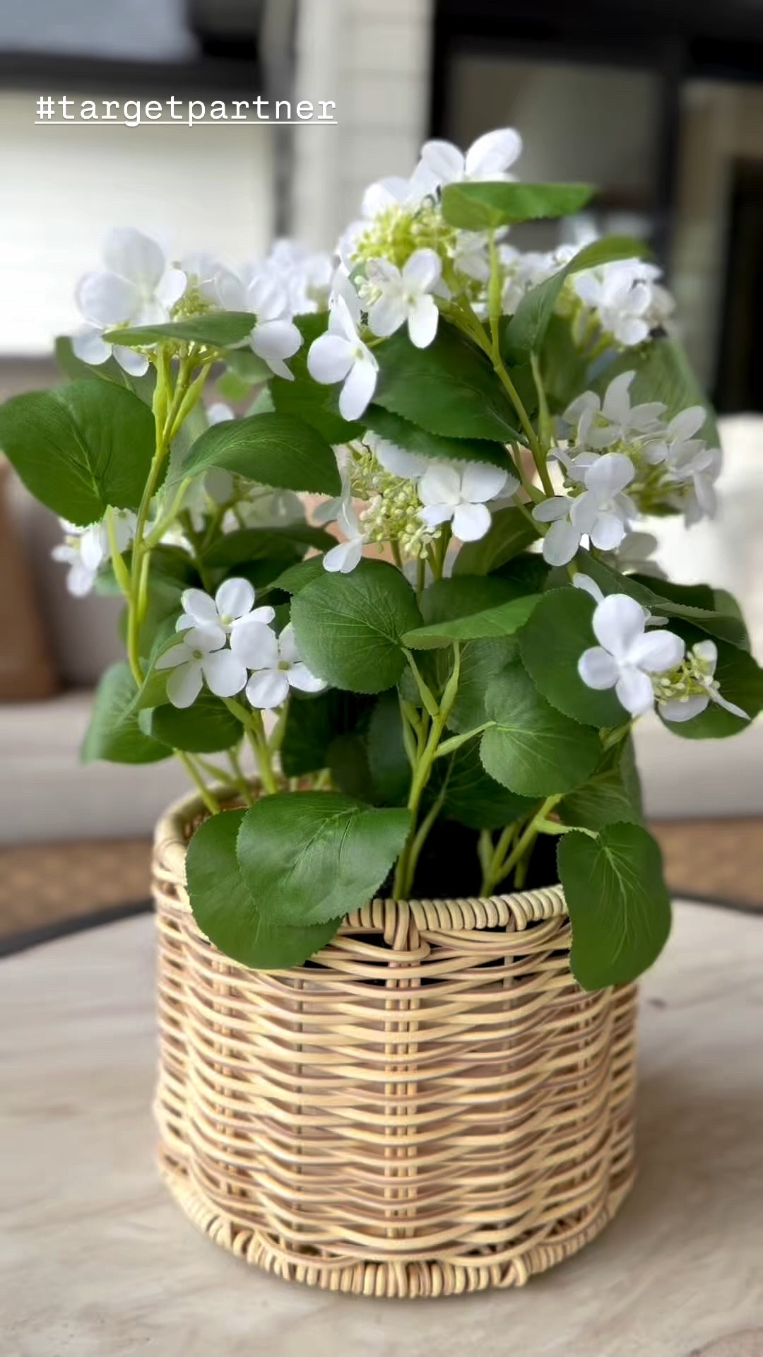 #targetpartner @Target #target 

New items I got for my outdoor patio space 

#LTKHome #LTKootd