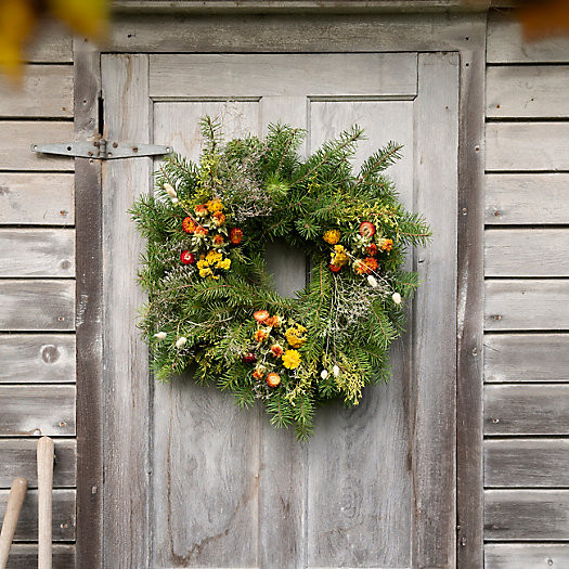 Fresh Noble Fir + Preserved Stem Wreath | Terrain
