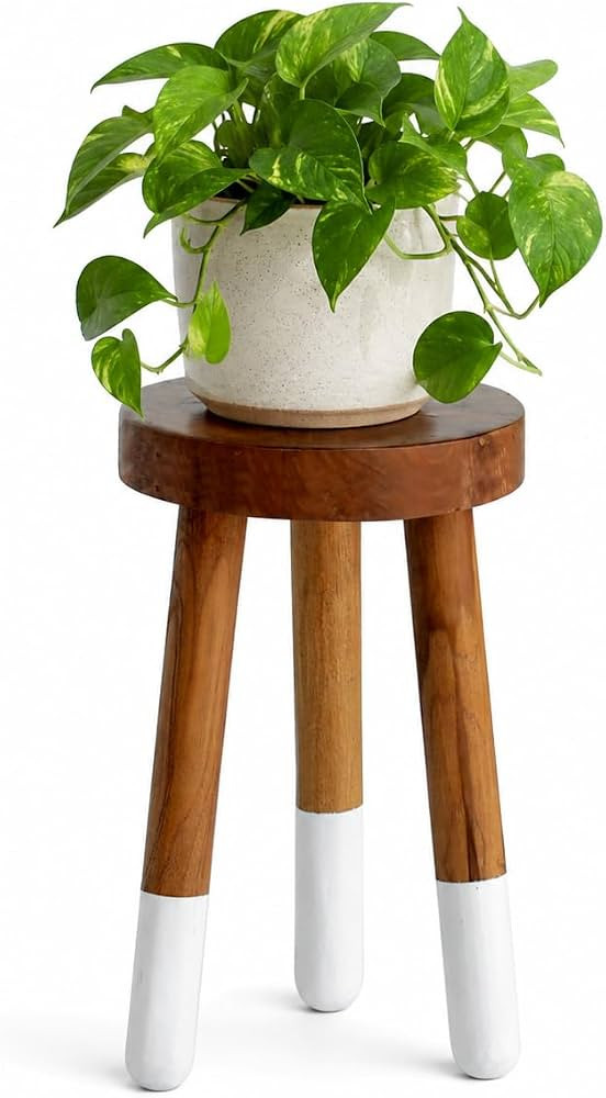 Teak 11.8" Round Dip Dyed Teak Stool | Wood Accent Side Table | Wood Plant Stand (20" Tall White) | Amazon (US)
