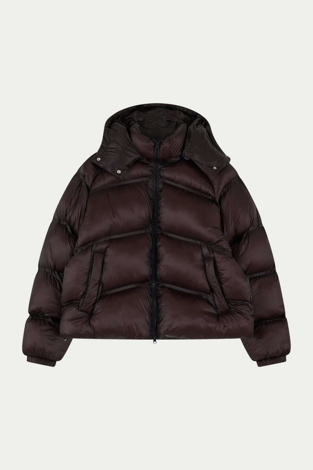 TRANSLUCENT HOODED PUFFER - BROWN | The Couture Club