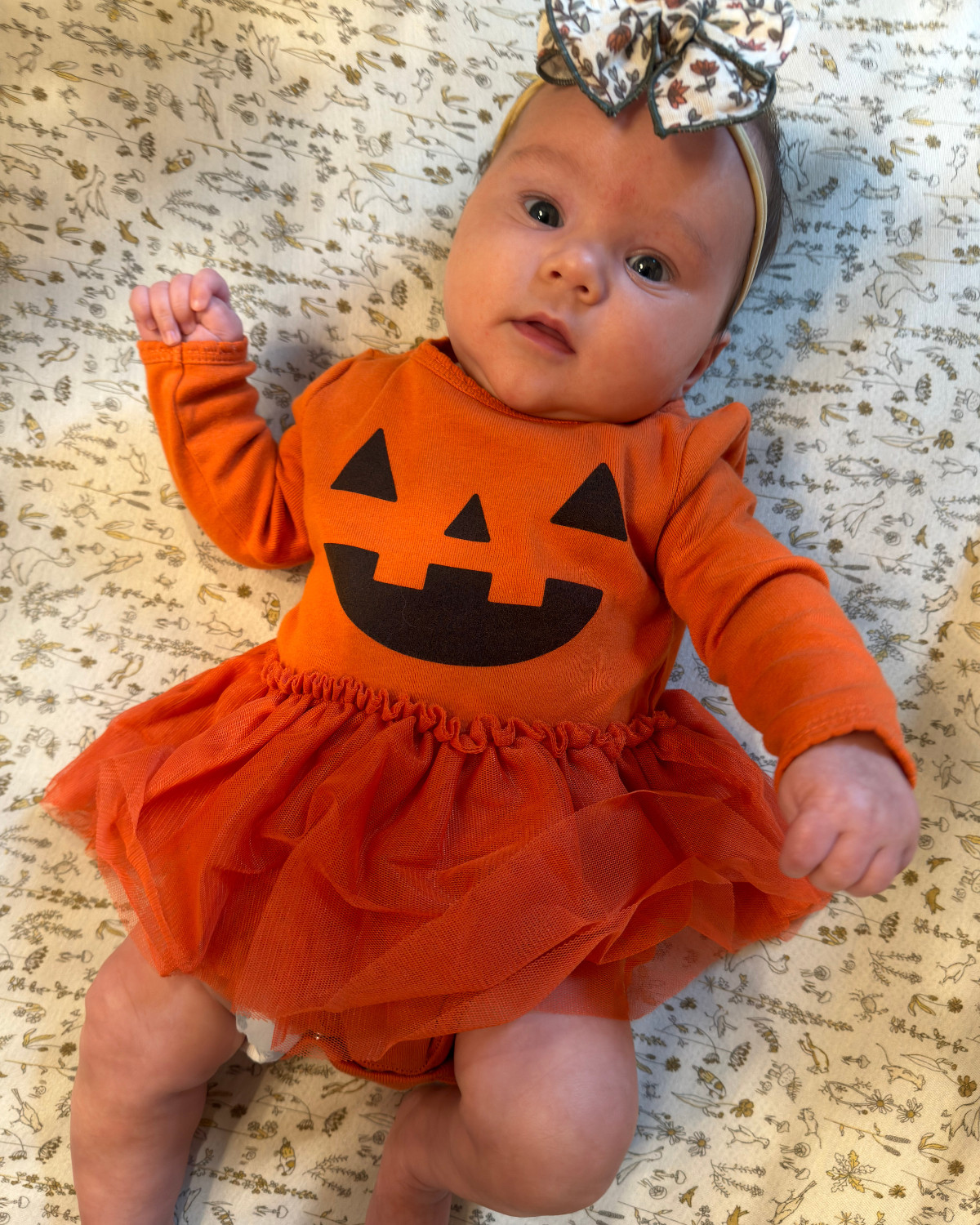 Baby girl Halloween dress 
 

#LTKHalloween #LTKSeasonal #LTKBaby