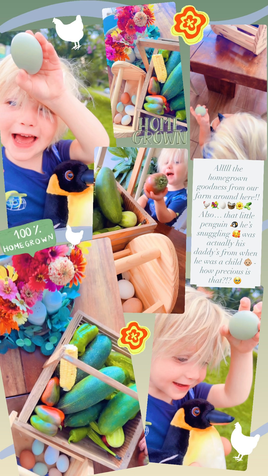 Alllll the homegrown goodness from our farm around here!! 🐓💐🥚🧺🌼🥒 Also… that little penguin 🐧 he’s snuggling 🥰 was actually his daddy’s from when he was a child 👶🏼 - how precious is that?!? 🥹