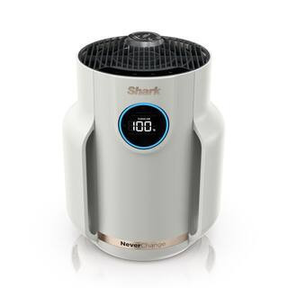 NeverChange 250 sq. ft. HEPA Filter Table Top Mini Air Purifier and Cleaner in Grays with Odor Neutralizer Technology | The Home Depot