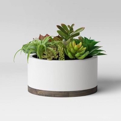 Succulents in White Pot - Project 62™ | Target