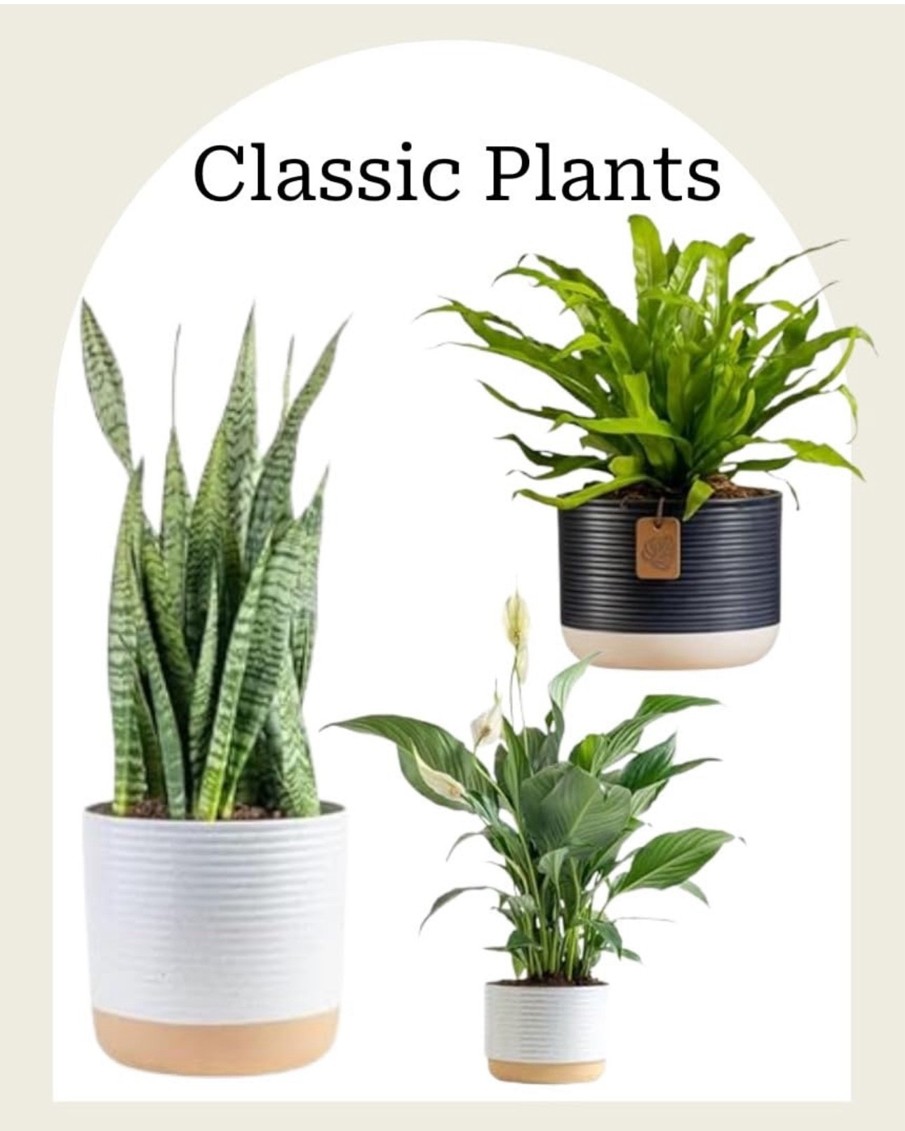 Home, with some fresh air 

#LTKFamily #LTKHome #LTKActive