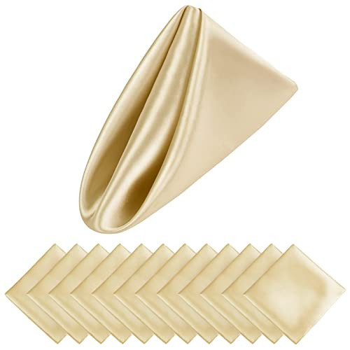 Aneco 12 Pieces Satin Napkin Square 20 x 20 Inches Dinner Napkins Weddings Party Napkin Soft Table Napkins for Romantic Weddings Party Dinner Decoration (Champagne) | Amazon (US)