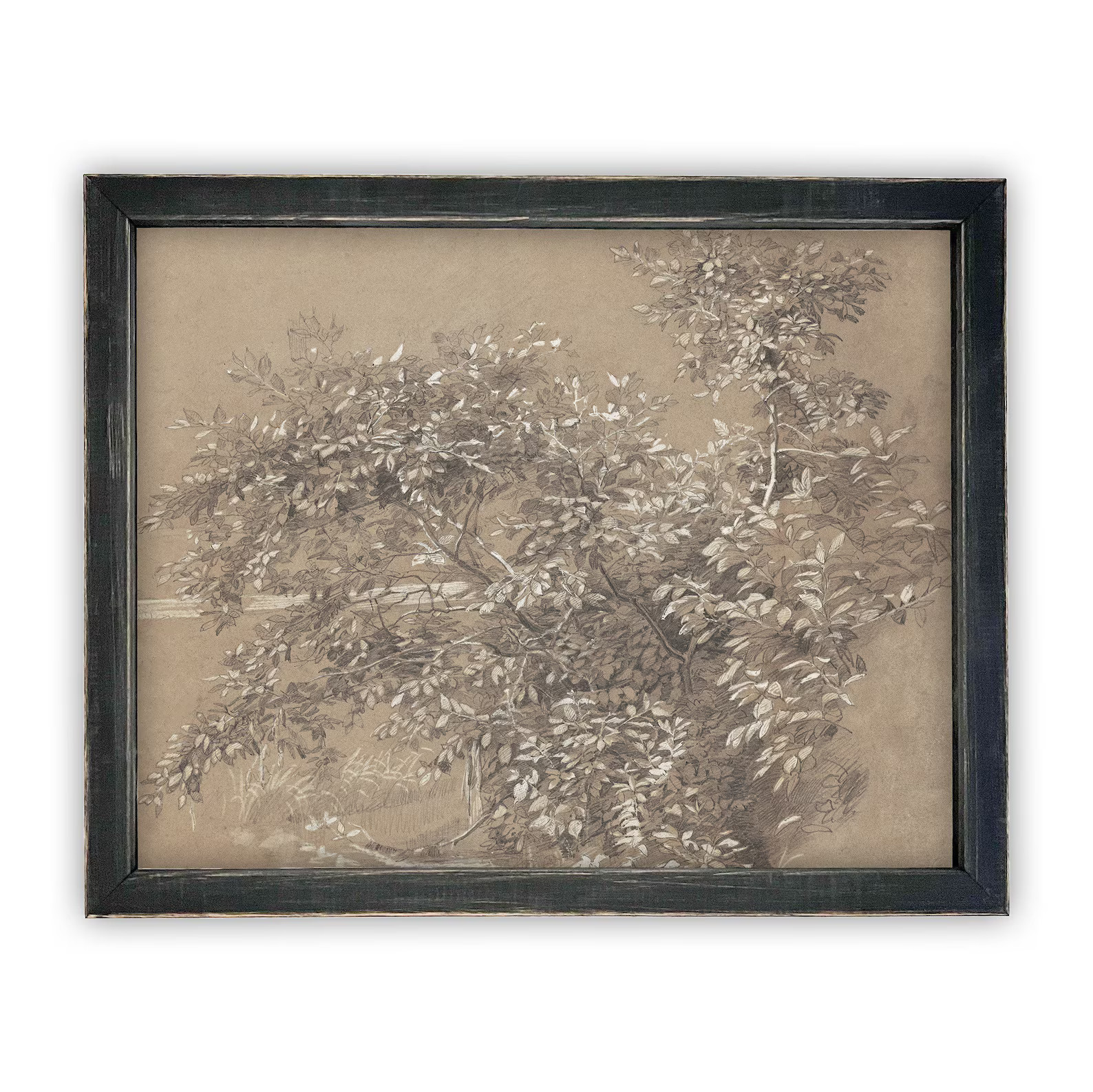 Framed Vintage Botanical Sketch Print: Neutral Farmhouse Canvas Art - Etsy | Etsy (US)