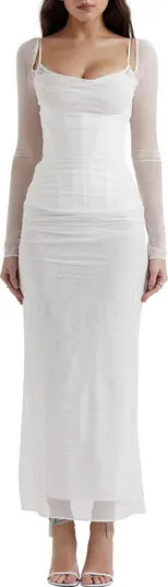 Katrina Lace Mesh Long Sleeve Gown | Nordstrom