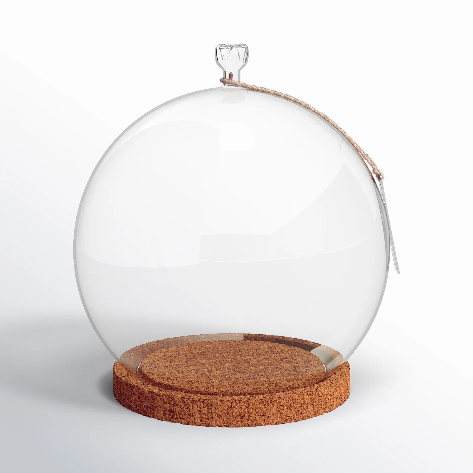 Joss & Main Stellan Handmade Cloche Or Water Globe & Reviews | Wayfair | Wayfair North America