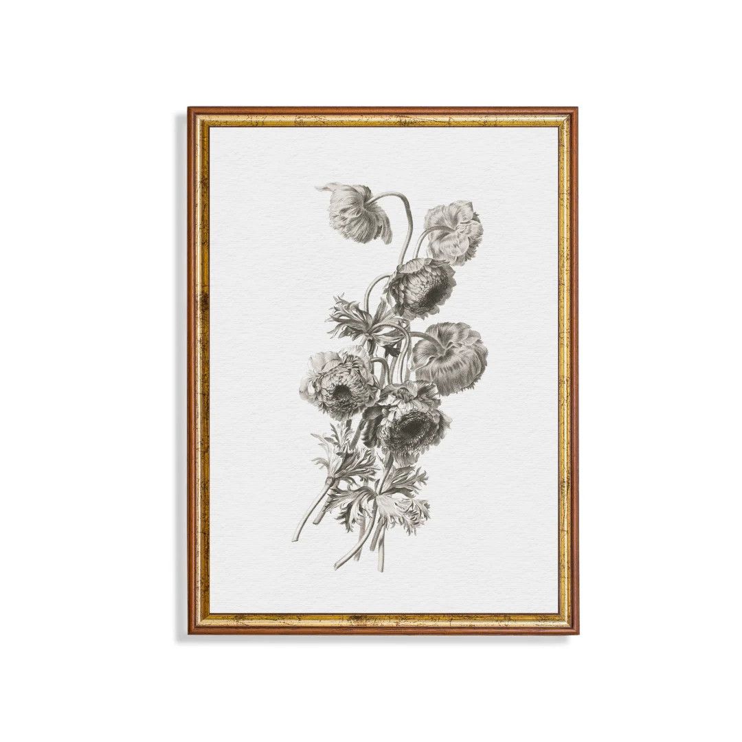 Vintage Sketch Drawing | Antique Flower Print | Floral Drawing | Neutral Farmhouse Decor | Digita... | Etsy (US)