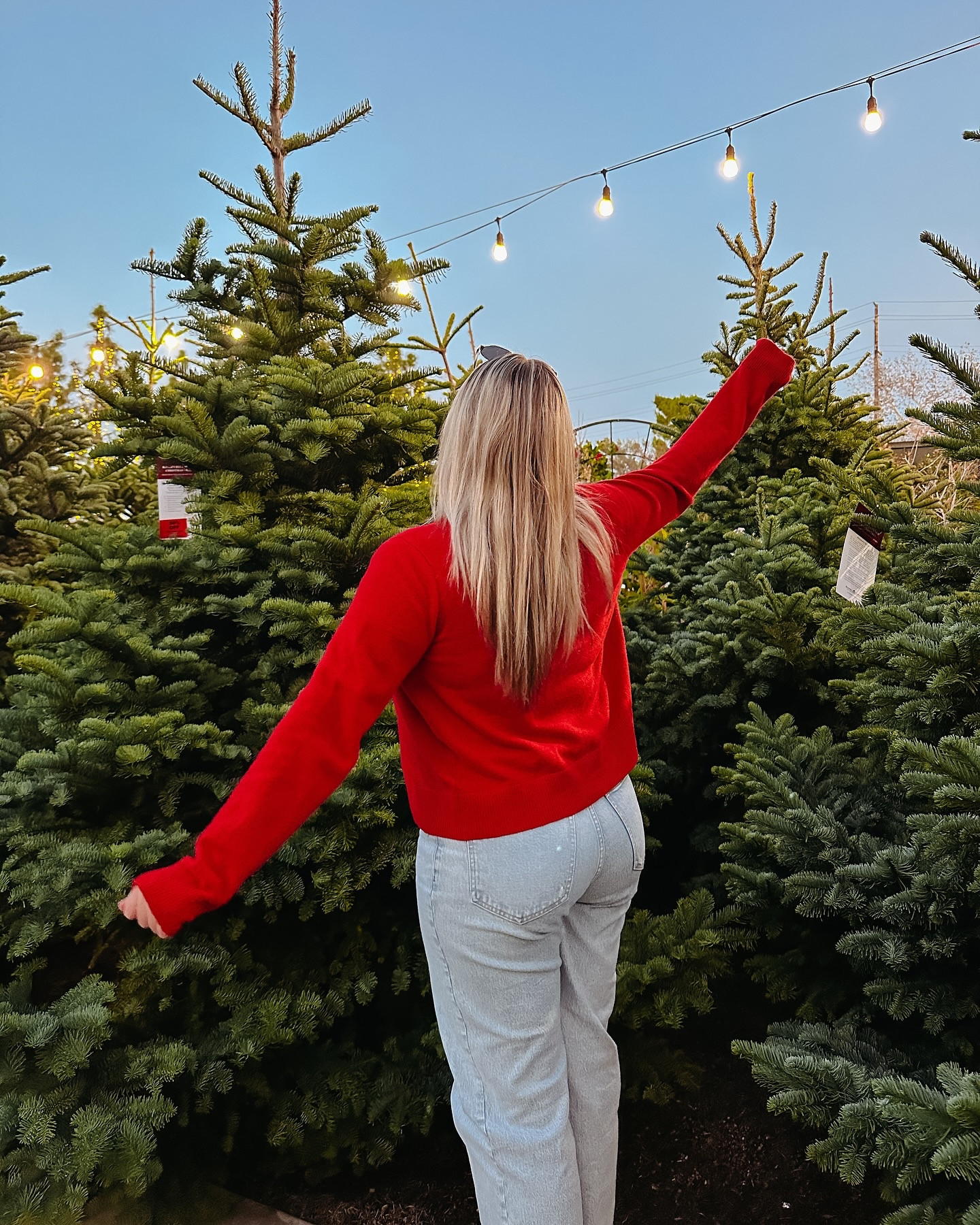 Pines & pops of red ❤️🌲

#LTKGiftGuide #LTKFindsUnder100 #LTKHoliday
